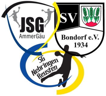 Handball AmmerGäu